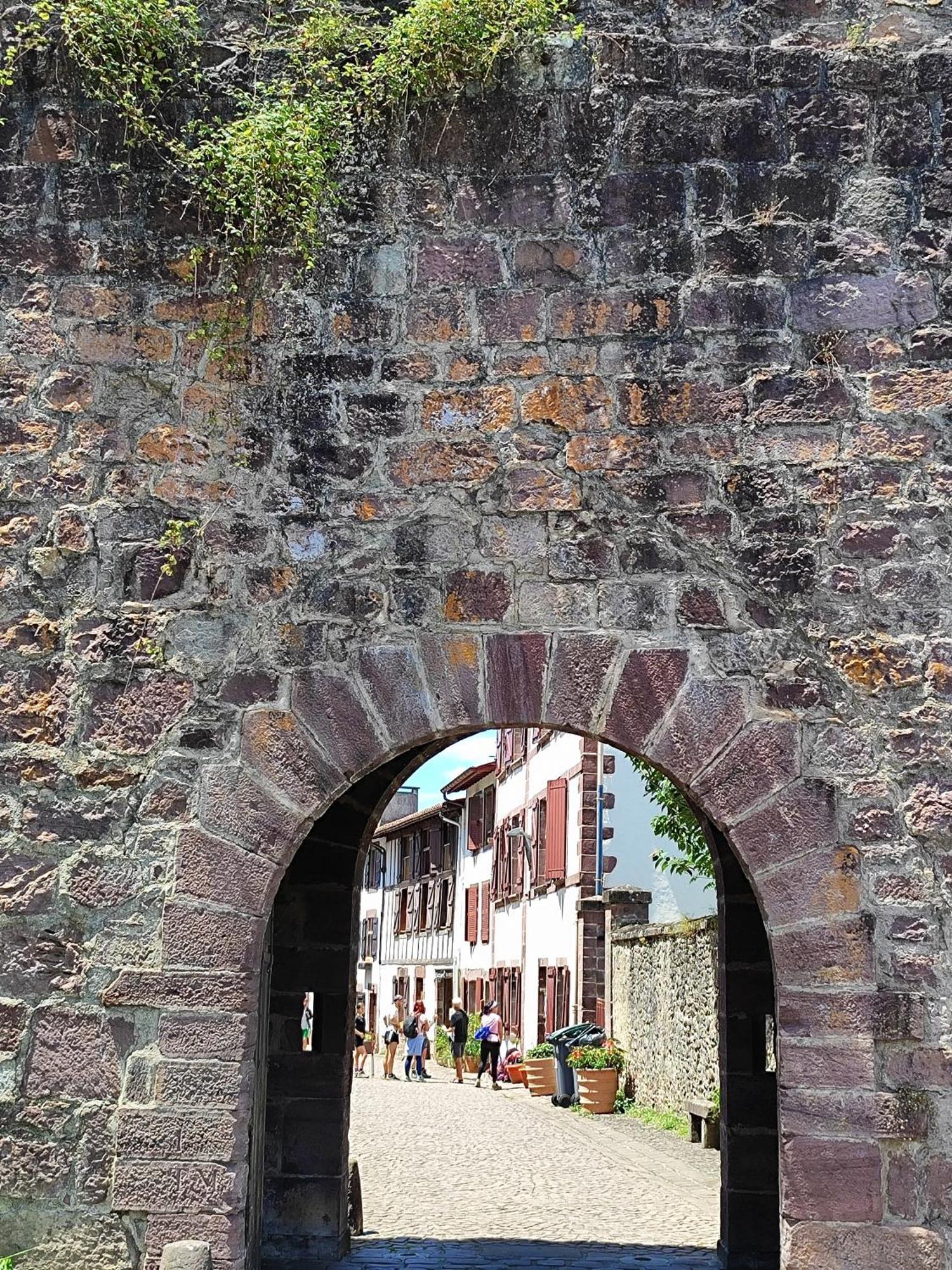 L'Auberge Du Pelerin - St Jean Pied De Port Saint-Jean-Pied-de-Port Extérieur photo